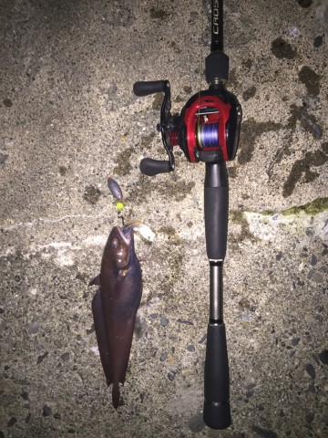 j975o9txt6rjd7yhnvdx_690_920-686c13eb.jpg