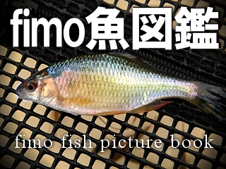 j9mxoxadnxpj83h3s2bp-f65727eb.jpg
