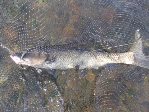 j9rouyj823fru8rzdhjp_920_690-9f670e41.jpg