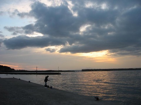 jVHFt2jp2zx8aQKTnK9D_480_480-b3270faf.jpg