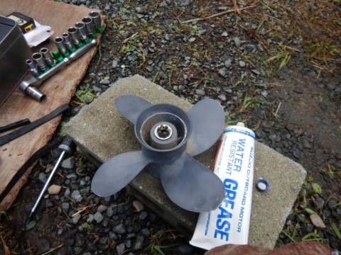 ja95mxp2cpptvbx2dnf8_480_480-304ea51b.jpg