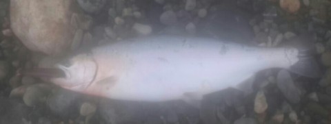jaw86f42ewut2xrxv7c9_920_346-05c53d94.jpg