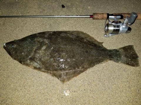 jawwvmnfipum5b65vcnv_480_480-74f217c2.jpg