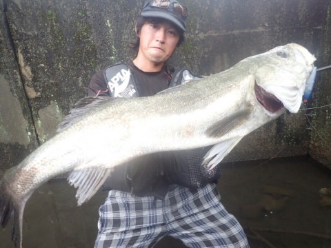 jb8dv5uhok7iirbefs5t_920_690-90bd6fde.jpg
