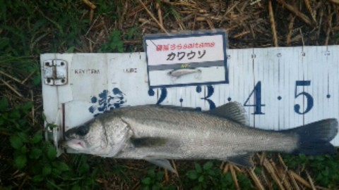 jcc7o8v22wcx8e8m73hj_920_518-e30bad71.jpg