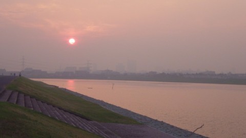 jcfes4a7ztzuzp4dc69d_480_480-d8303e30.jpg