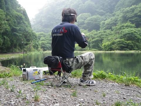 jd6cp9o9ck46acy286uc_480_480-83dd8b70.jpg