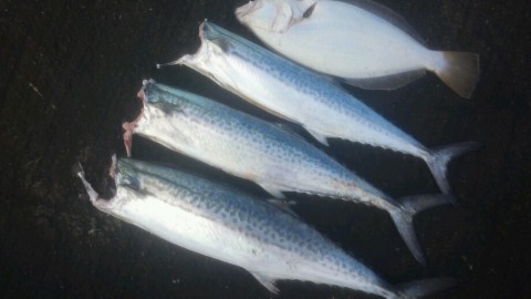 jd9ttpok6koouywi8sj2_920_518-e9fa2db7.jpg