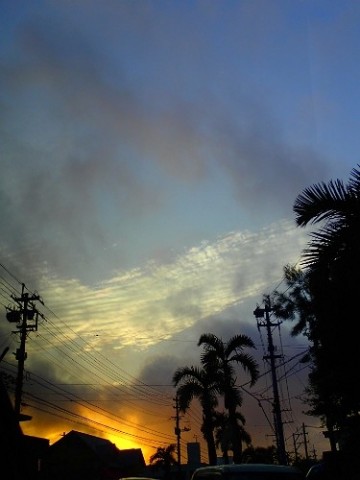 jdb9pa6a52cndxyx5m72_480_480-602be0da.jpg