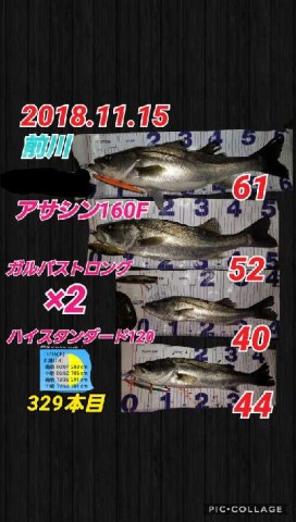 jdf8y6shgy2o6ipc3ywu_480_480-a20789d9.jpg