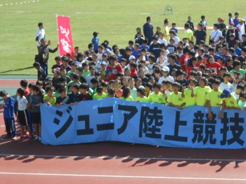 jdhdfdw8nnhuxpgn54e2_480_480-ed477247.jpg