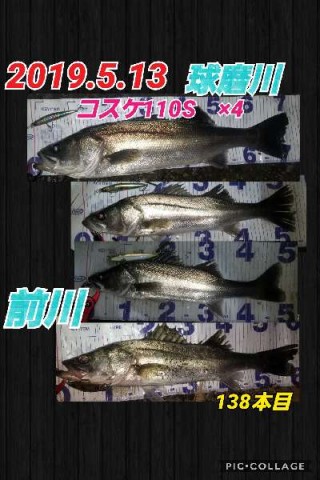 jdmxze4kx6vcwau3uhji_480_480-dbfa8e5d.jpg