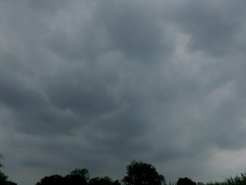 jdnyc8nwcxiz467xzxx7_480_480-83da9d72.jpg