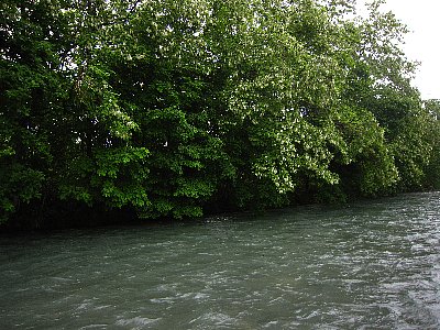 jdsocaibvam8uispn8i3-d9927126.jpg