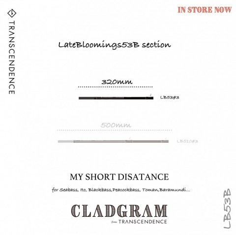jdx2sinm7dimmko752jd_480_480-81919557.jpg