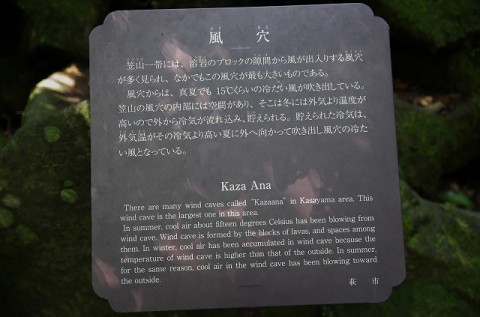 jehrgw9wixzetbd8d8xb_480_480-fb0d7f0b.jpg