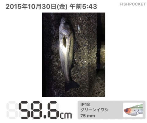 jekveo2sxx9ud4ggk8ia_920_771-a37bd428.jpg