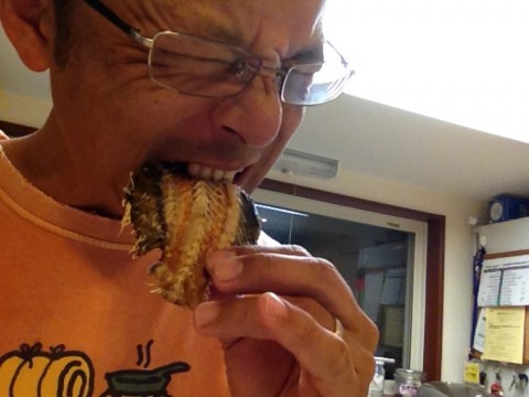jentorraeygfyhdyw967_920_690-512a8910.jpg