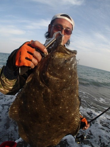 jewehzj7yhswhmov6adb_480_480-c36ad8d8.jpg