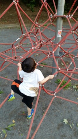 jexgedyxpw3a5wuorv3d_518_920-92459446.jpg