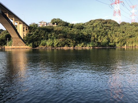 jf5h6422tfvdfkxrmvmg_480_361-a0476488.jpg