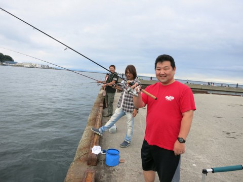 jfaidegy8gctwii694fw_480_480-98d4578e.jpg