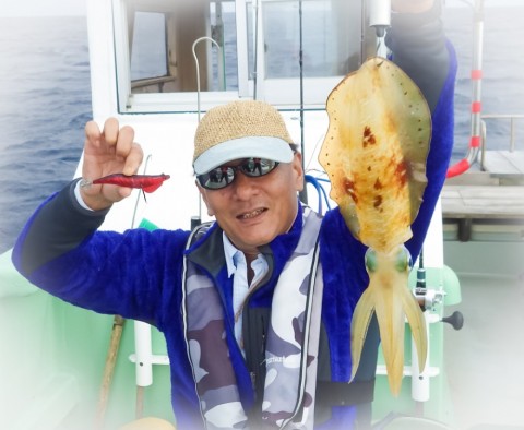 jfajvx8784vn3uvokjsw_480_480-d12309b7.jpg