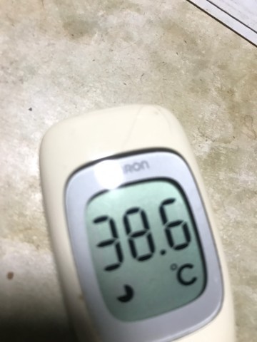 jfgc5fvdjnvty6cxd5up_690_920-0278f6e2.jpg