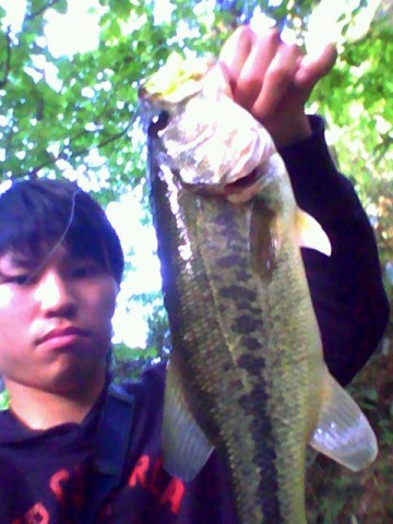 jfm2w6ft36r5r4tazysh_480_480-ed84658e.jpg