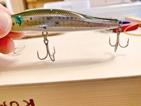 jfnd6yv92c7598tewvys_480_480-2e702283.jpg