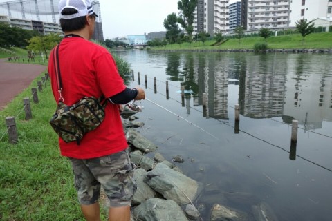 jfyd2wf9x5o34o98vck7_480_480-a7db2df0.jpg