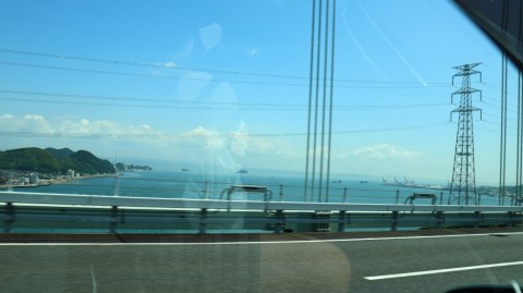 jg35rjgmo2i68bky8pxe_480_480-f3d9354d.jpg