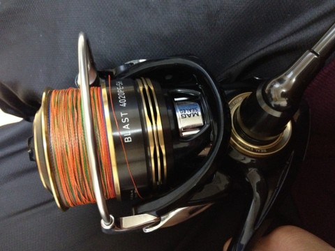 jghxrf83s7koyj84ohcc_480_480-dbb9ac33.jpg