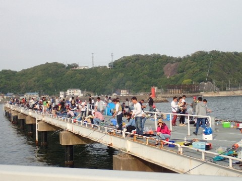 jgm72vwhk6677ss24psa_480_480-23895d9c.jpg