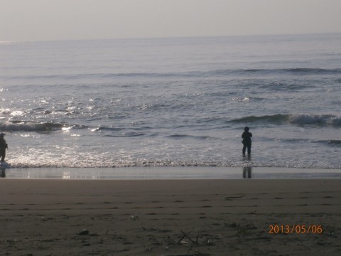jgpynuokob3dx5gxbpz2_480_480-f8a0cb90.jpg