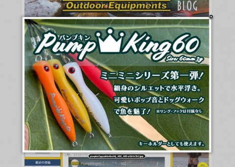 jgttruidxk73o47kkvfx_480_480-6aa6f857.jpg