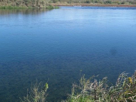 jgwb2xwk2u32rkpe7jb5_480_480-d4e81f94.jpg