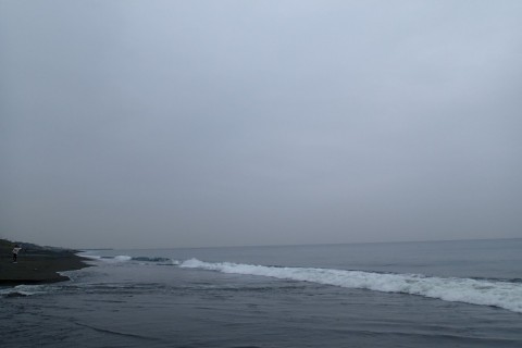jh36ef2fanwbuy7nrrcz_480_480-628e2b50.jpg