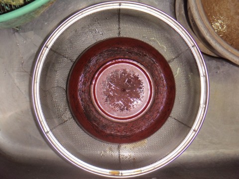 jh5n2xfrw57satsxr959_480_480-b3f70d90.jpg