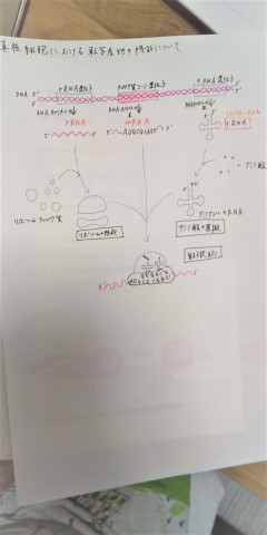 jhd882ncu7vx75m8j6mf_480_480-d9b34c97.jpg