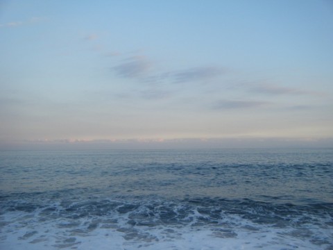 jhg6fasg5pj7tv4jkxg9_480_480-eeb98443.jpg