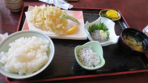 jhjj49rdf529xszr6t4c_480_480-d82e4948.jpg