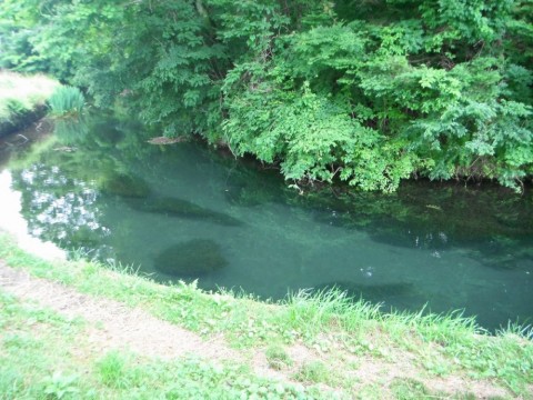 jhyaa3ghstyt8eiozba2_480_480-124ef40c.jpg
