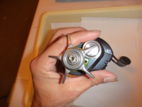 jikcb6s8ngfv2gxs73pc_480_480-af637228.jpg