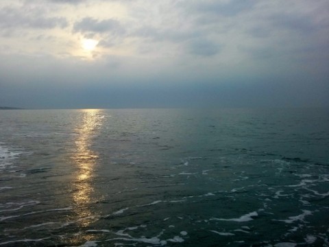 jinf5j2vf9wof3rvihs5_480_480-84774fb2.jpg