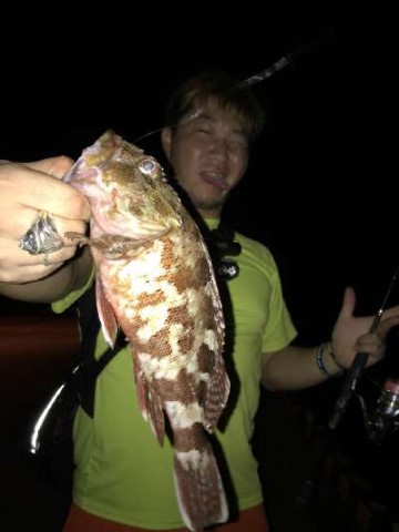 jinh6bcm7cidxbay3ip4_480_480-f143a1c6.jpg