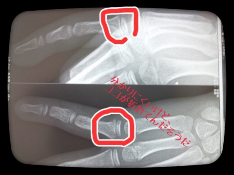 jipkb4md7sha4w7buie3_920_690-76b53e33.jpg