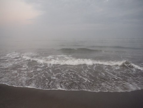 jirvxxysc4dzhj6n6nj5_480_361-73431bb3.jpg