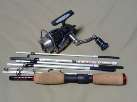 jj9654thn9obzebo7h7b_480_480-10dfa6ad.jpg