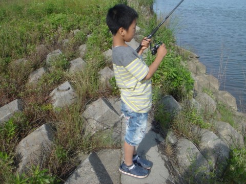 jj9ejrxtc4awm24ums5j_480_480-74b7a65b.jpg